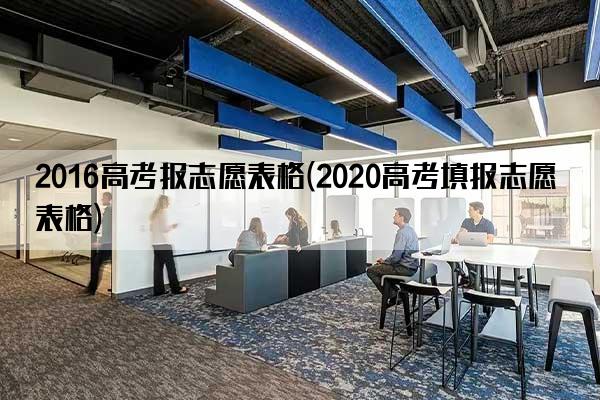 2016高考报志愿表格(2020高考填报志愿表格)