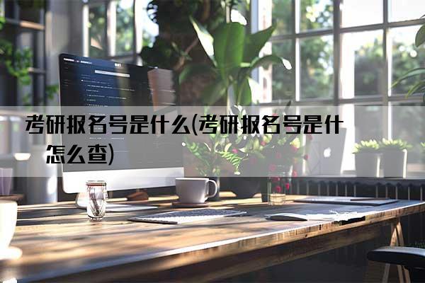 考研报名号是什么(考研报名号是什么怎么查)