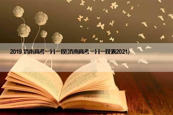 2019 济南高考一分一段(济南高考一分一段表2021)