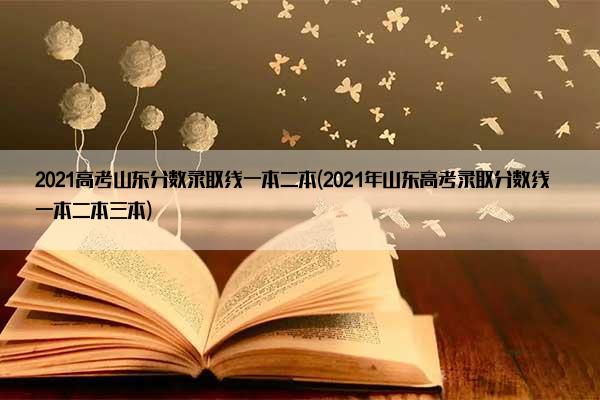 2021高考山东分数录取线一本二本(2021年山东高考录取分数线一本二本三本)