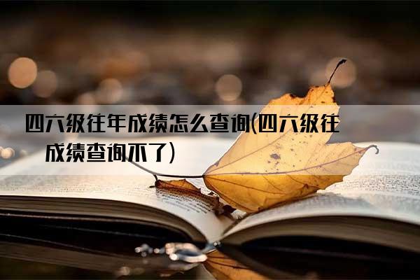 四六级往年成绩怎么查询(四六级往年成绩查询不了)