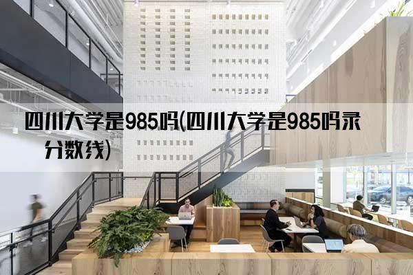 四川大学是985吗(四川大学是985吗录取分数线)