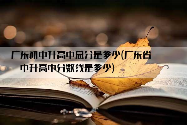 广东初中升高中总分是多少(广东省初中升高中分数线是多少)