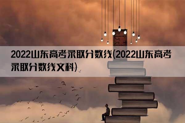 2022山东高考录取分数线(2022山东高考录取分数线文科)