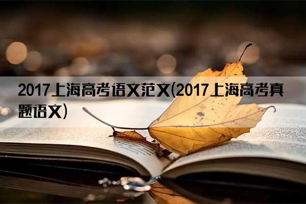 2017上海高考语文范文(2017上海高考真题语文)