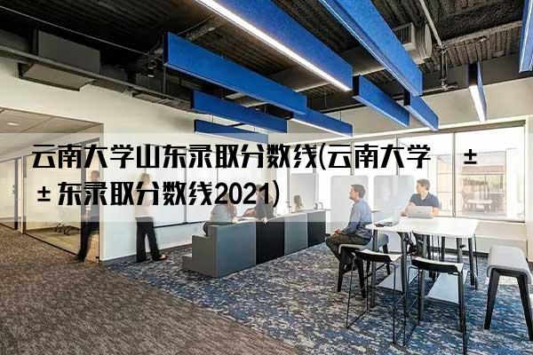 云南大学山东录取分数线(云南大学山东录取分数线2021)