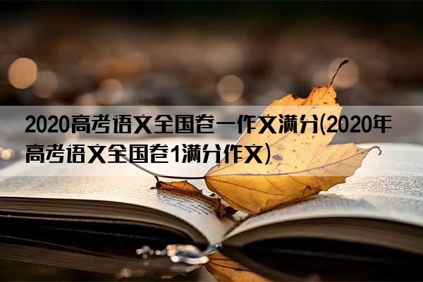 2020高考语文全国卷一作文满分(2020年高考语文全国卷1满分作文)