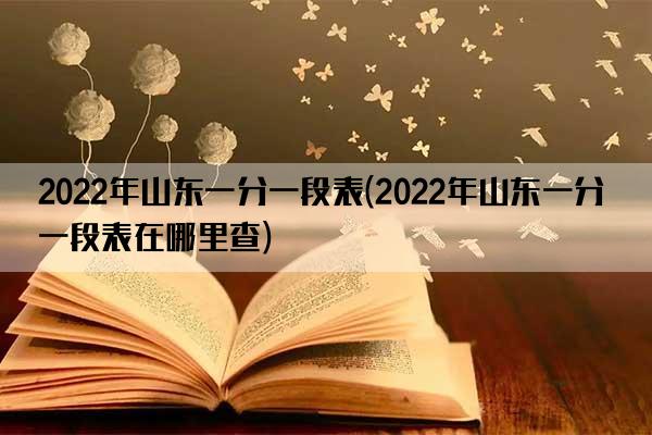 2022年山东一分一段表(2022年山东一分一段表在哪里查)