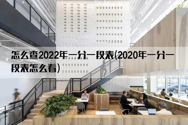 怎么查2022年一分一段表(2020年一分一段表怎么看)