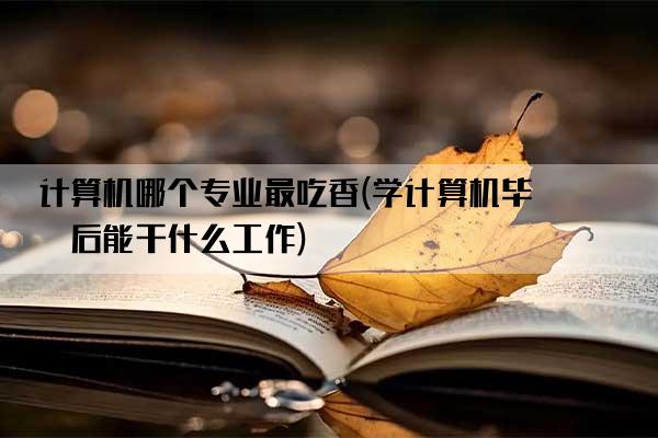 计算机哪个专业最吃香(学计算机毕业后能干什么工作)